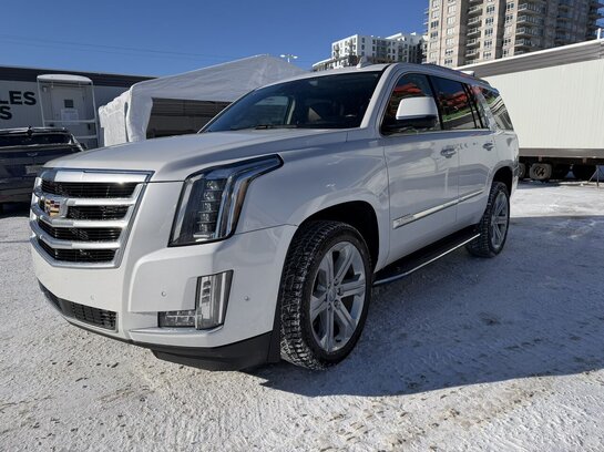Cadillac Escalade 2020 2020 Blanc
