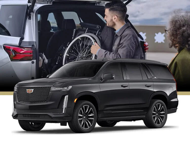 17dd468277d2827d088ed4d1cb9d9fd6 modilite programme Cadillac 750x750