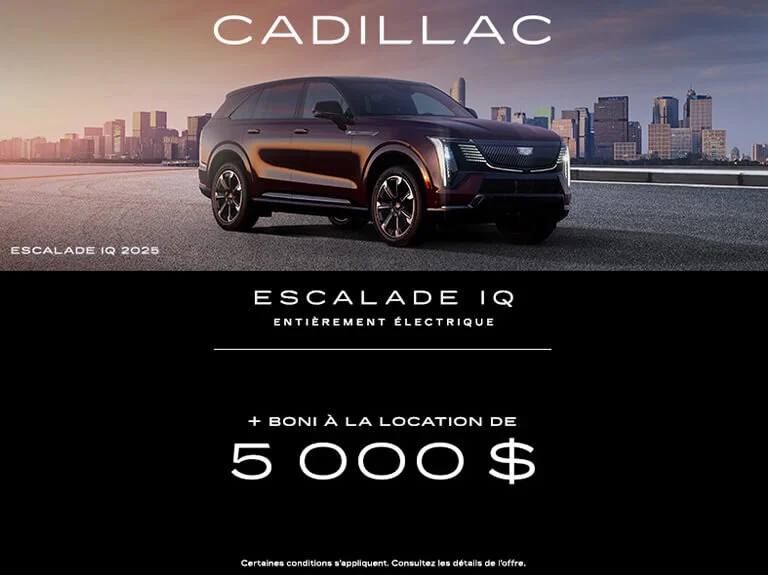 Magnetis - Programme du Mois